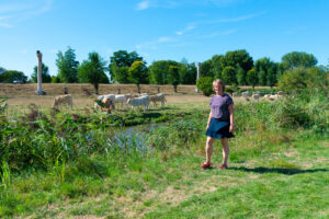 jouw werkgeluk vergroten in 7 simpele stappen | werkgelukmenu.nl