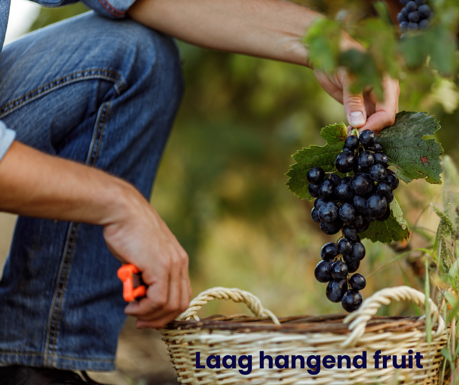 doelen behalen met behoud van balans werk privé is mogelijk als je bereid bent eerst het laaghangend fruit te plukken.