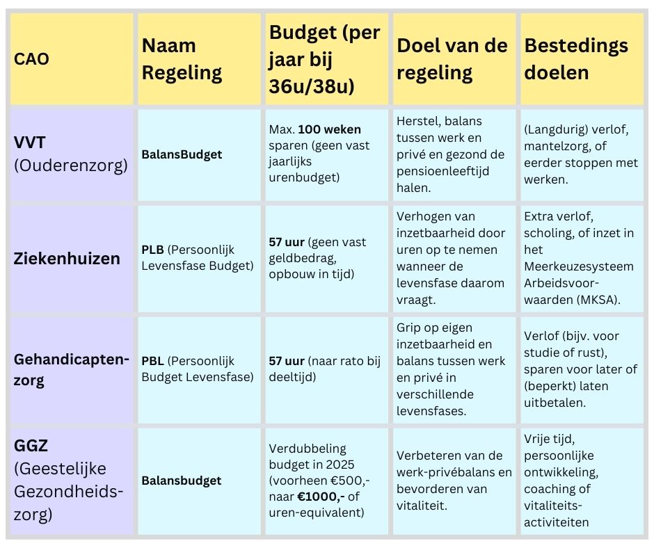 Duurzame inzetbaarheid in de zorg: Illustratie van CAO-budgetten en DI-uren ingezet voor verlagen werkdruk en verzuim"